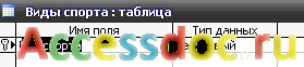    ()  MS Access